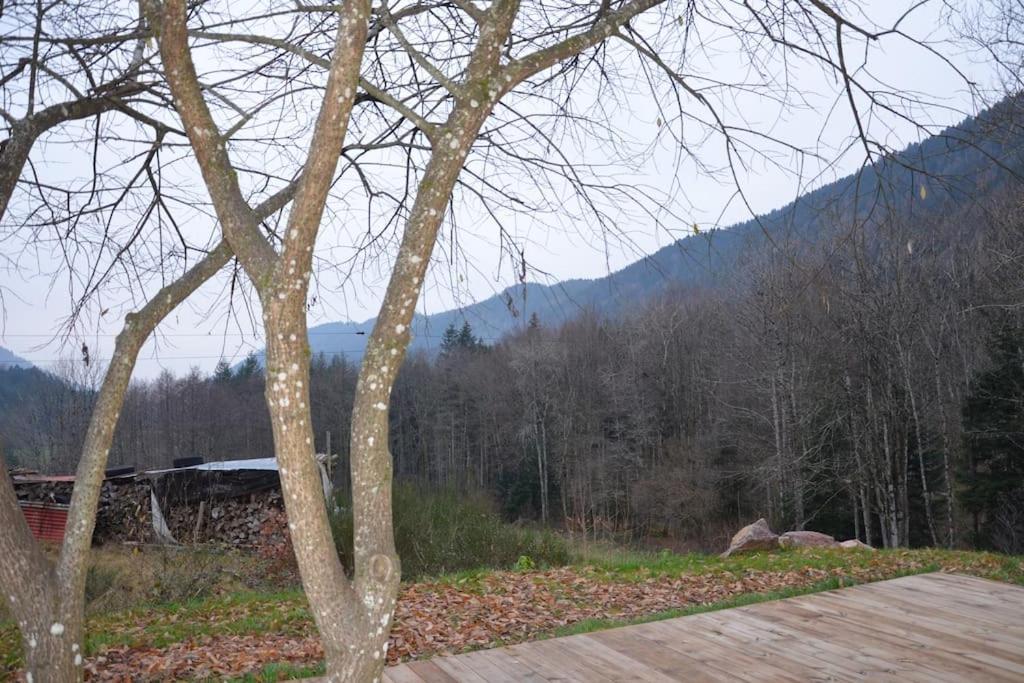 A La Cheneau Vila Rochesson Exterior foto